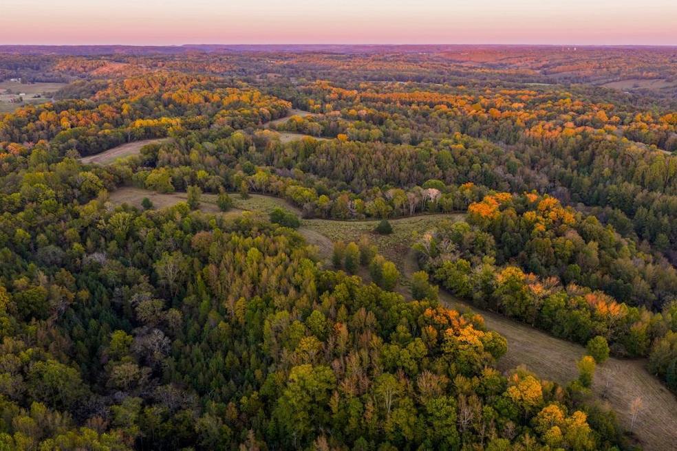 3345 Pigeon Roost Rd, Pulaski, TN 38478 - photo 1