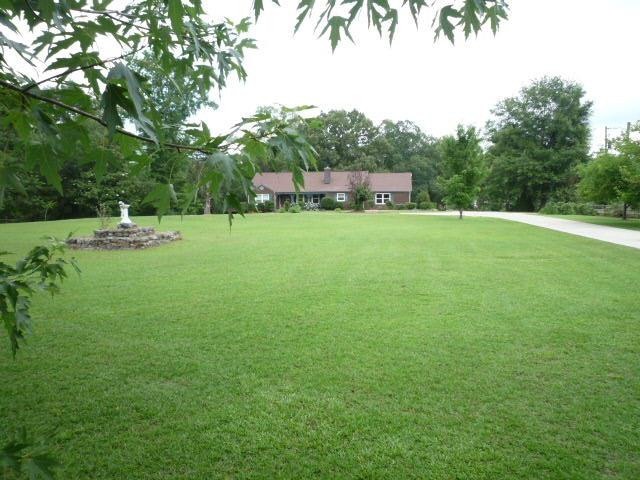 Main View