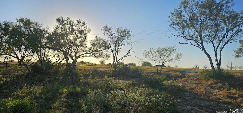 109 Sylas Hayes, Pleasanton, TX 78064 - photo 1