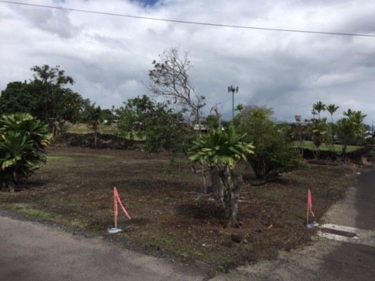 1746 Kilauea Ave, Hilo, HI 96720 - photo 1