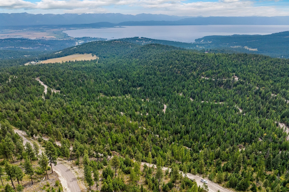 Welcome to Boon Road, Tract 9