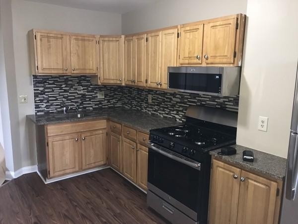 21 Harold St unit 1, Roxbury, MA 02119 - photo 1