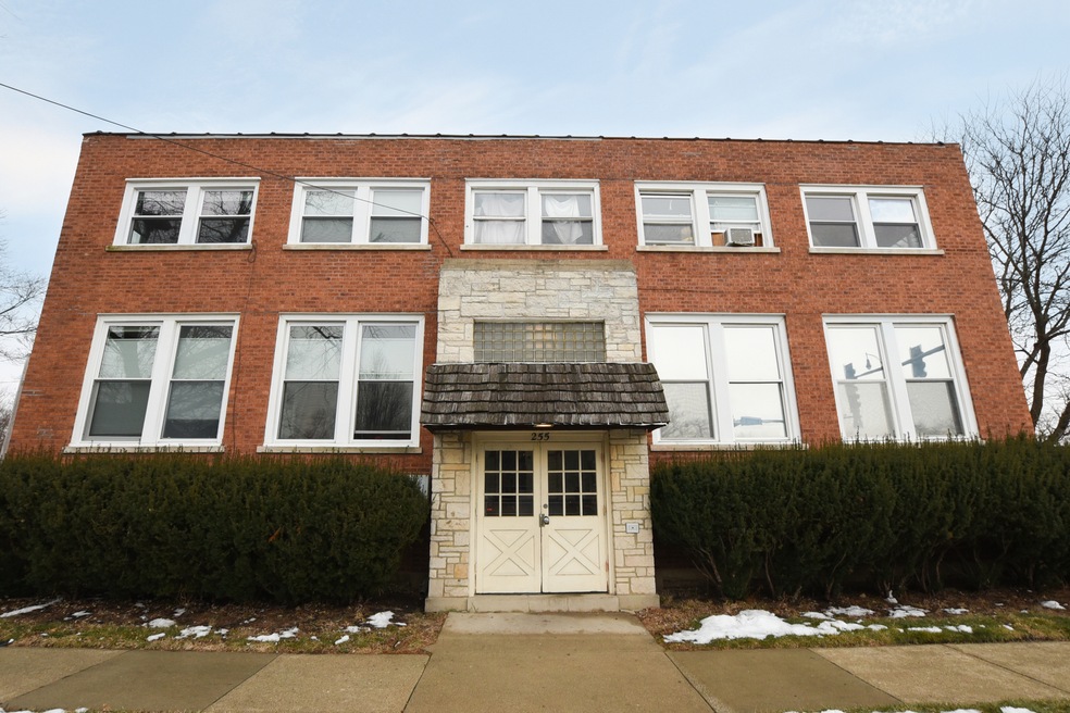 255 N Spring St unit 3, Elgin, IL 60120 - photo 1