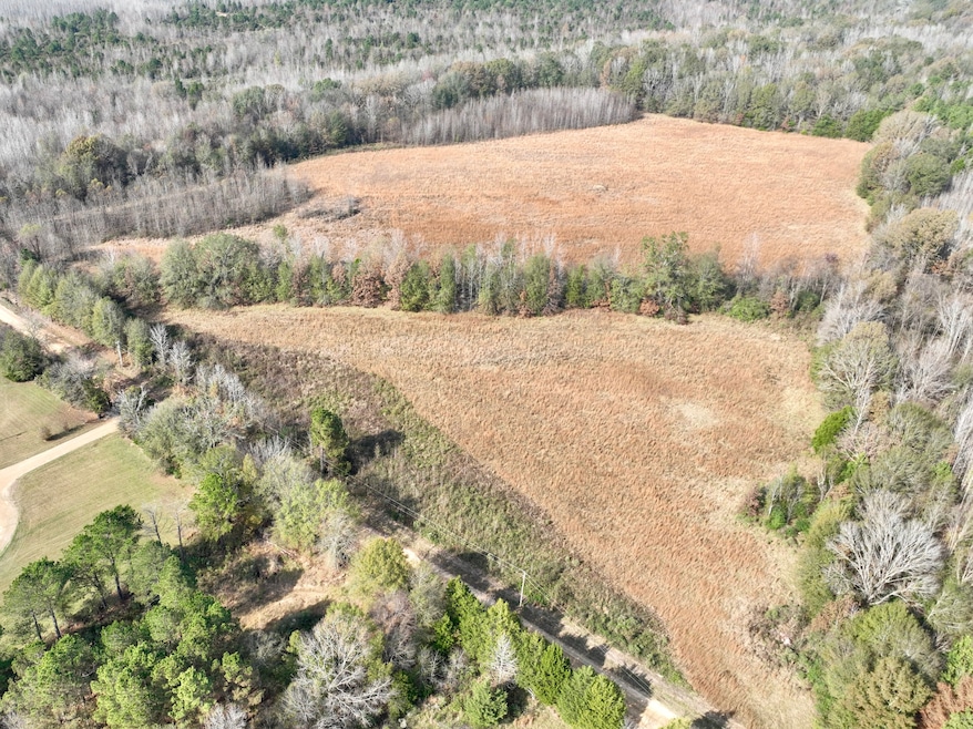 0002 Pisgah Bottom Rd, Canton, MS 39046 - photo 1