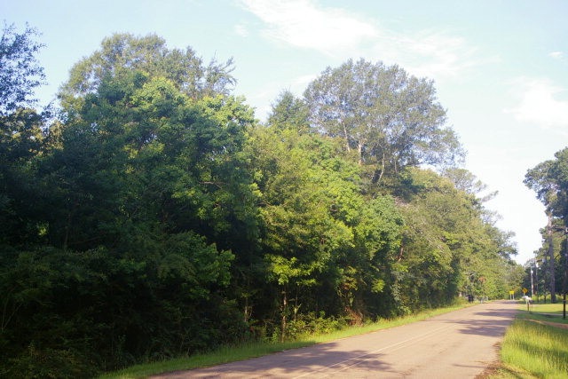 1030 Wallace Dr, McComb, MS 39648 - photo 1