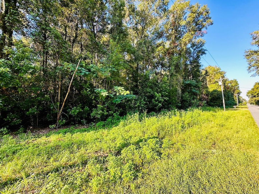 0000 284th St, Branford, FL 32008 - photo 1