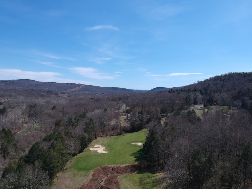 The Course