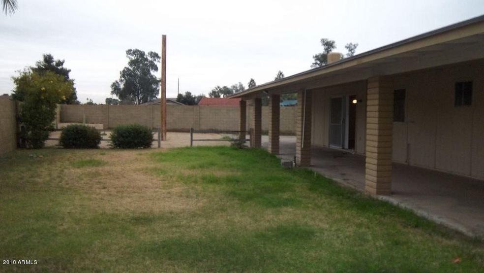 1-backyard