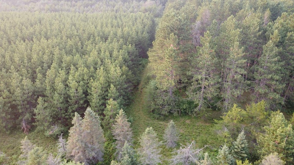 ON Pine Rd N, Tomahawk, WI 54487 - photo 1