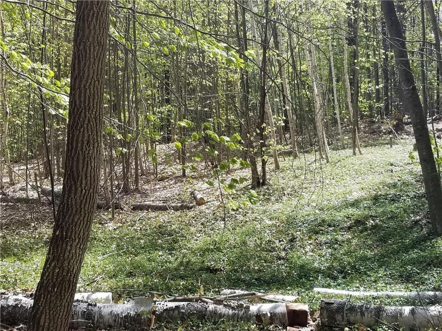 0 Harris Rd, Minot, ME 04258 - photo 1