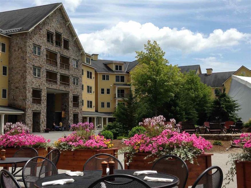 Jackson Gore Village, Ludlow, VT 05149 - photo 1