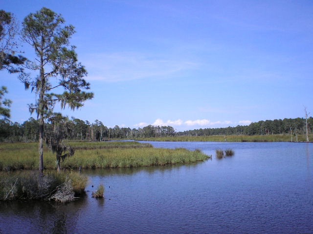 Primary Photo