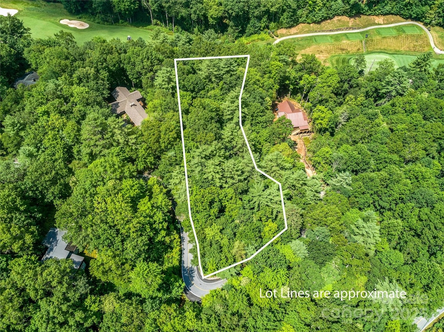 TBD Seminole Way, Lake Toxaway, NC 28747 - photo 1