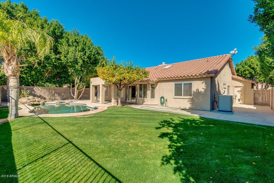 Beautiful Grass & Pool