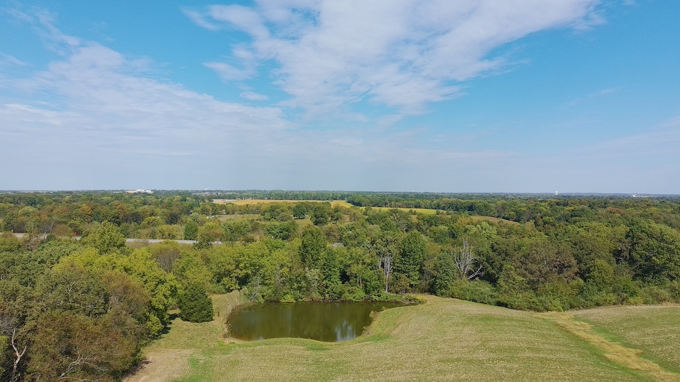 12156 E Bunny Farm Rd, Mount Vernon, IL 62864 - photo 1