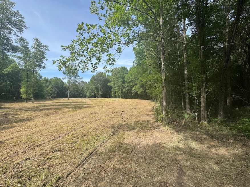 0 Highway 585, Pioneer, LA 71266 - photo 1