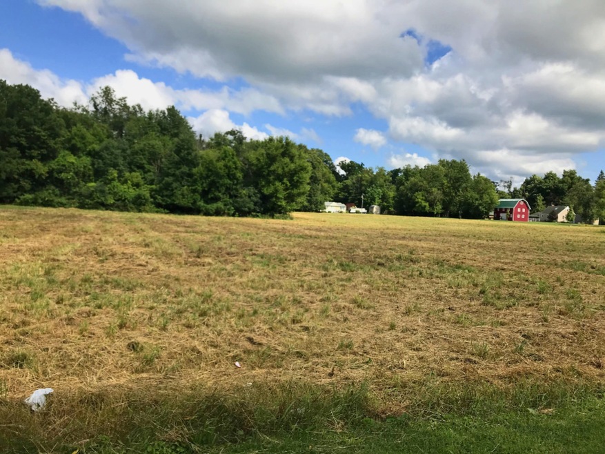 Field 2