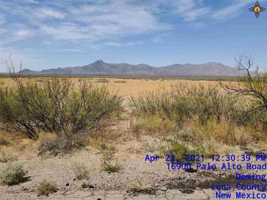 00 Avenura Rd SE, Deming, NM 88030 - photo 1