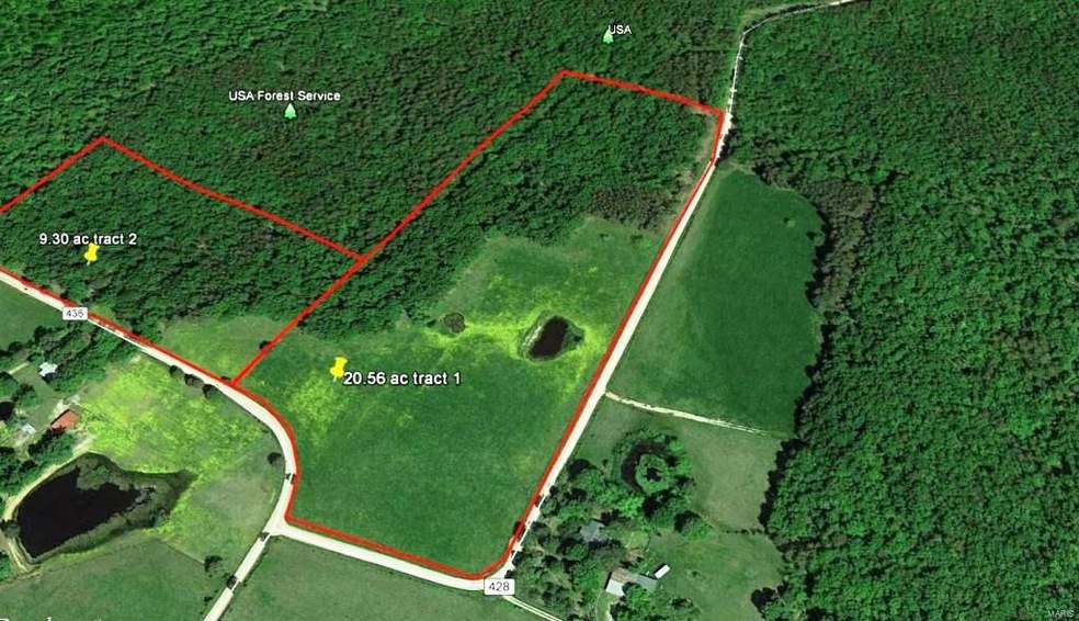 0 County Road 428, Poplar Bluff, MO 63901 - photo 1