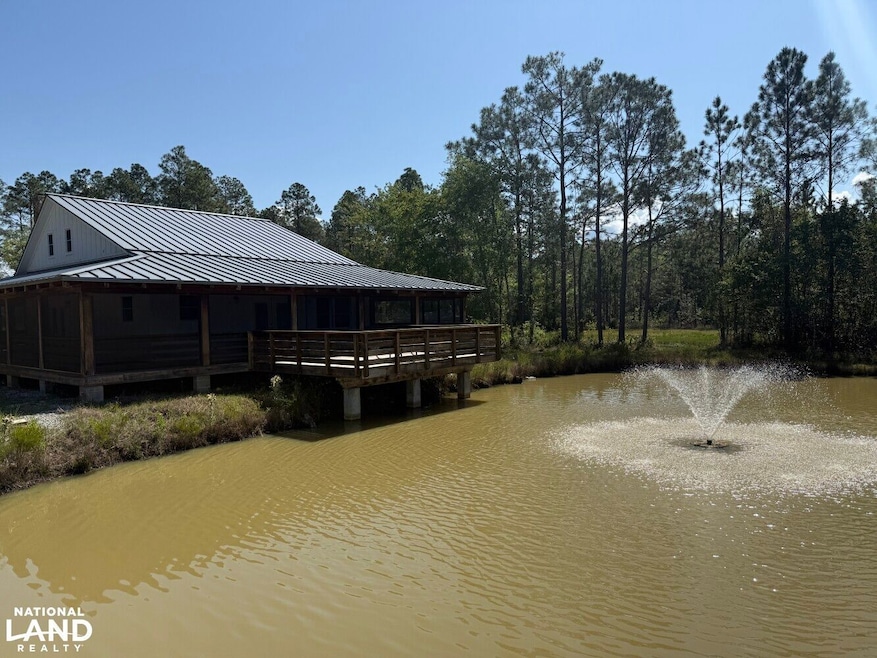 3362 Seed Orchard Rd, Nahunta, GA 31553 - photo 1