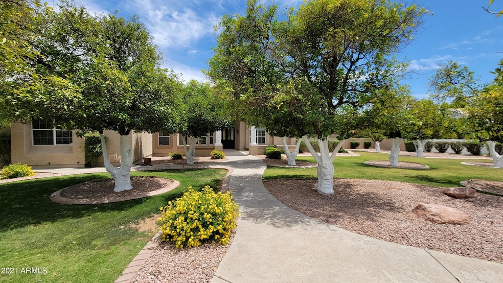 Front Yard