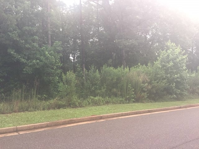 726 Kilmory Dr, Macon, GA 31210 - photo 1