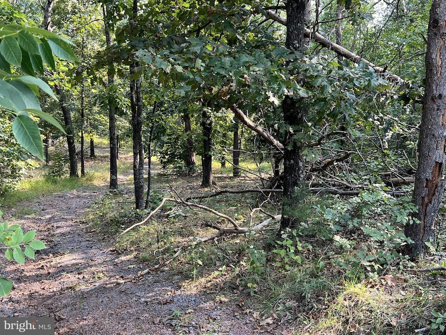 Tralee Drive Lot#7 0, Cross Junction, VA 22625 - photo 1