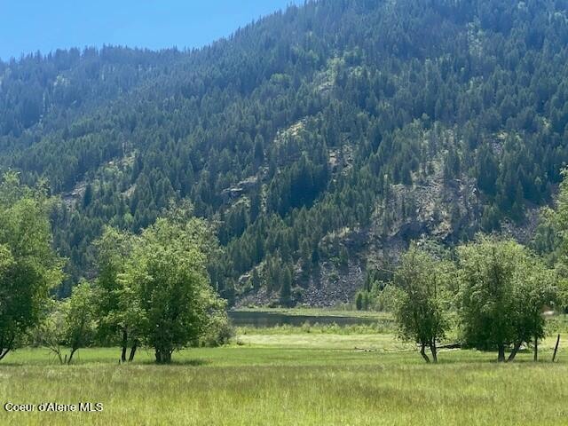 NNA (7800) 20 Ac Blue Lake Rd, Priest River, ID 83856 - photo 1