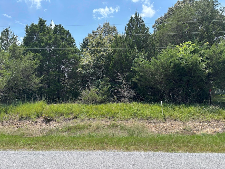 0 Ar Hwy 58 Hwy unit 25-435, Williford, AR 72482 - photo 1