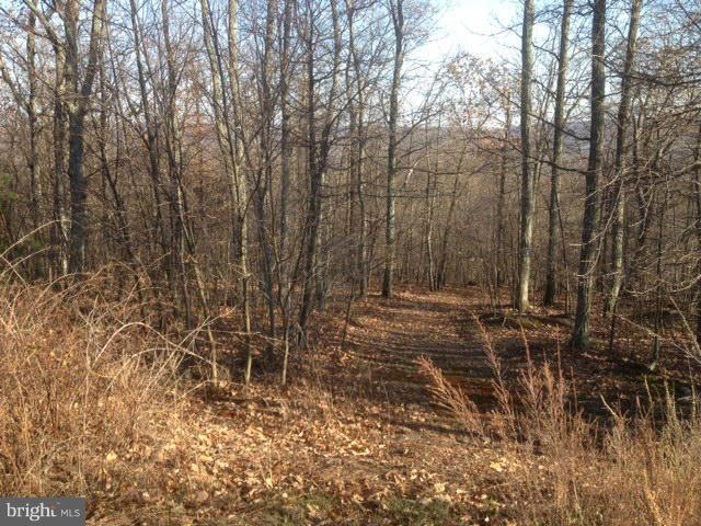 0 Grimaldi Way unit 1000568917, Gerrardstown, WV 25420 - photo 1