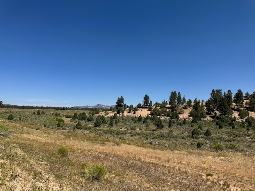 164.1 AC Hwy 12, Bryce Canyon, UT 84764 - photo 1