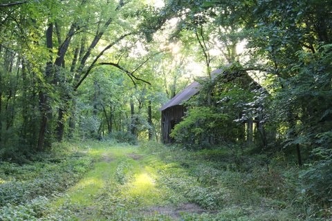 29 Ac Sunrise Rd, Rutland, WI 53575 - photo 1