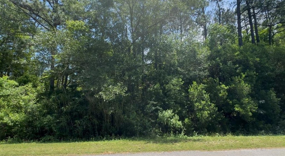 View of wooded area