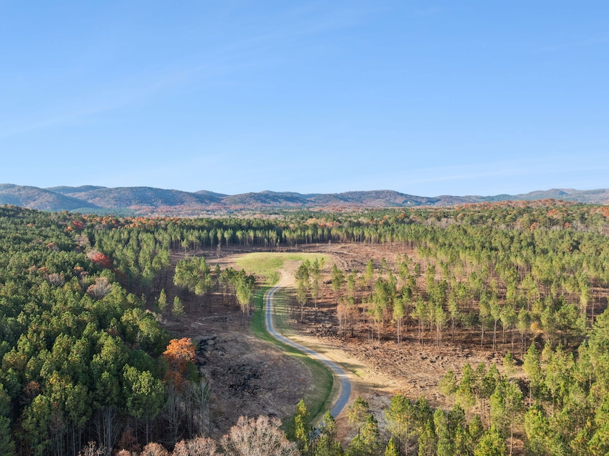 0 Ben Mosley Cir unit 25735821, Summerville, GA 30747 - photo 1