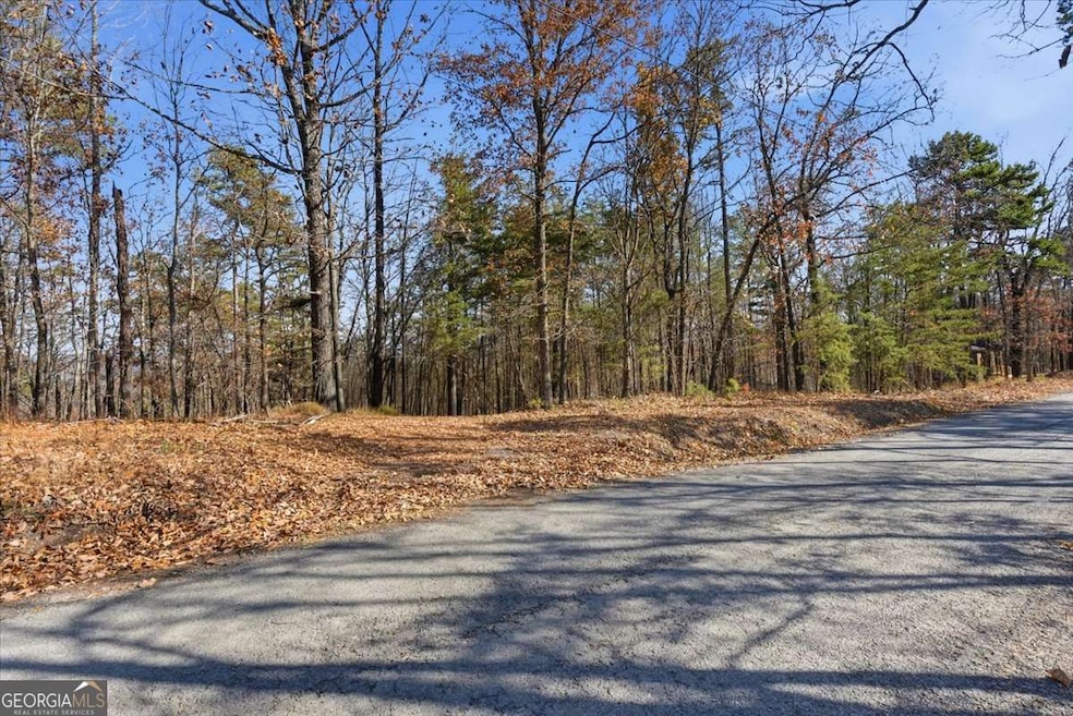 1166 Hunter Dr, Ranger, GA 30734 - photo 1