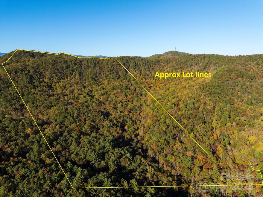 TBD Old Toxaway Rd, Brevard, NC 28712 - photo 1