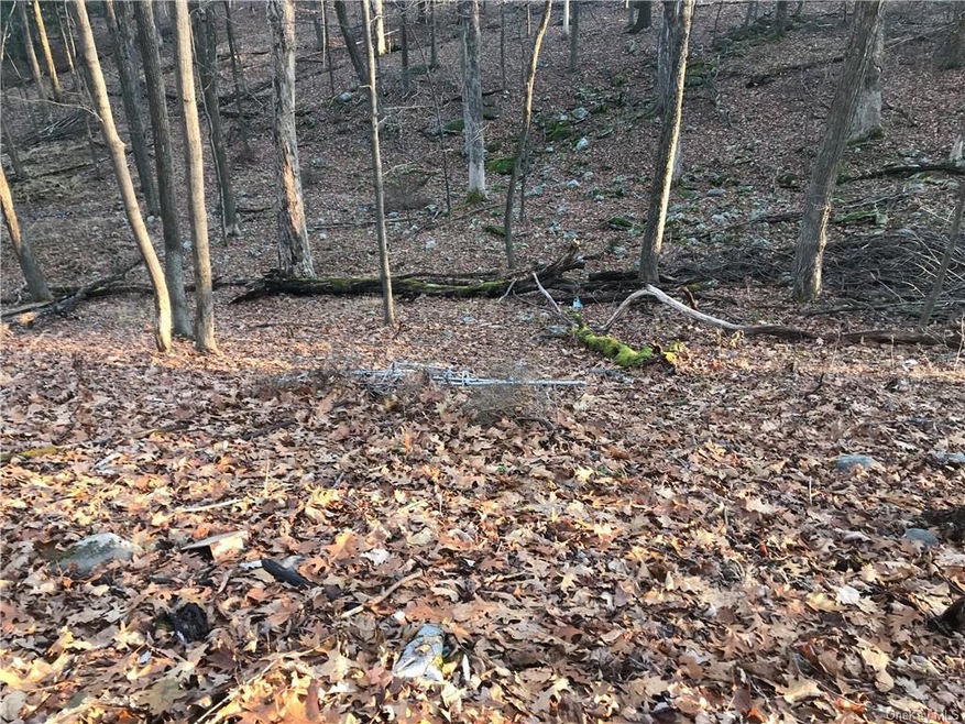 204 Franke Rd, Huguenot, NY 12746 - photo 1