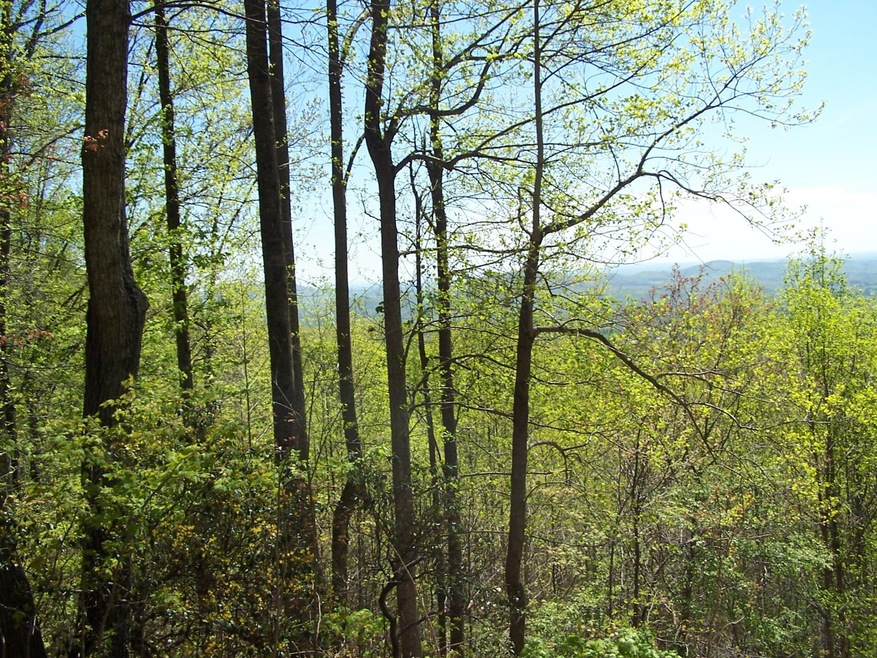 50 mile View