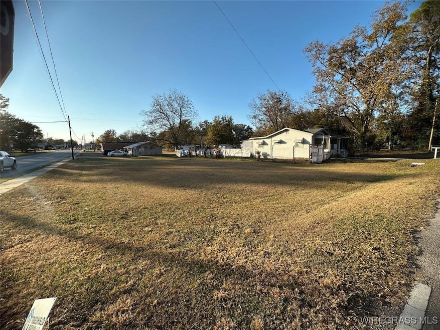 000 Middle St, Slocomb, AL 36375 - photo 1