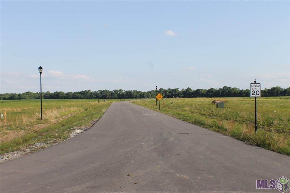 LOT 31 Harvest Ln, Port Allen, LA 70767 - photo 1