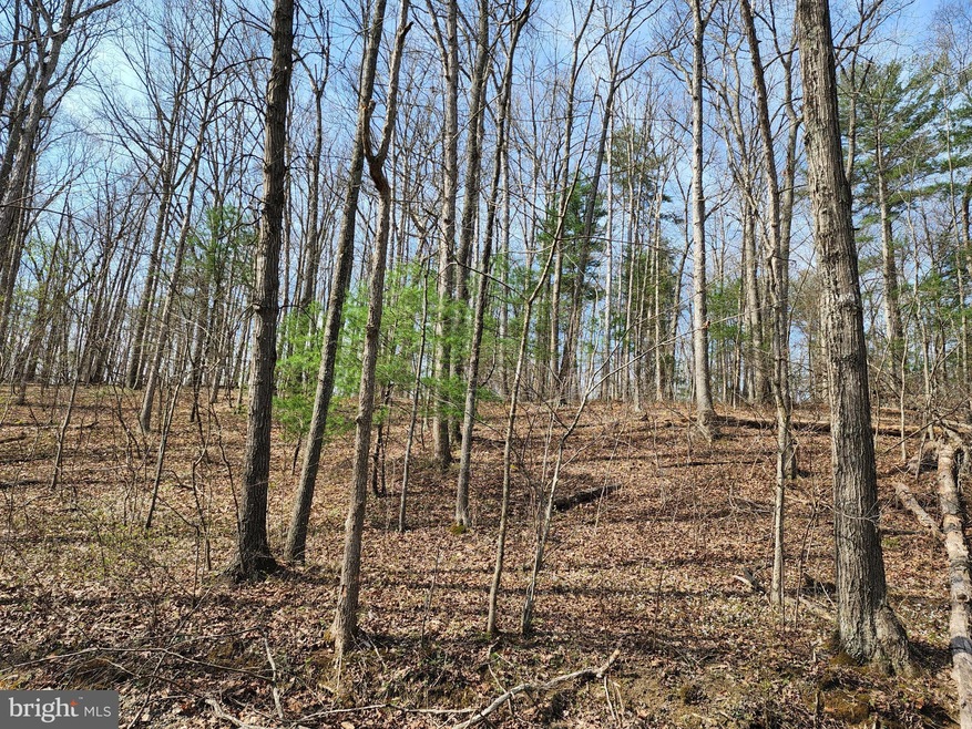 0 Bowman Hollow Rd unit VAWR2002970, North River, VA 22655 - photo 1