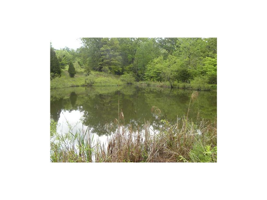 Pond.