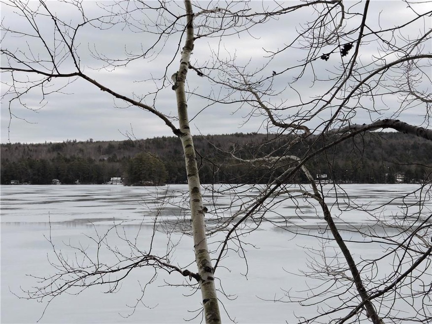 Views from ROW to Raymond Pond