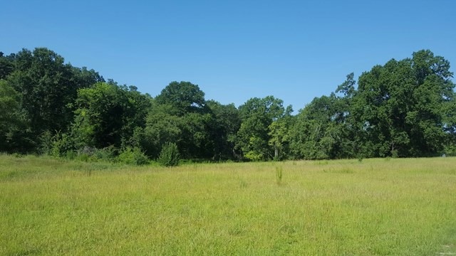 2628 Old Pearre Place, Evans, GA 30809 - photo 1