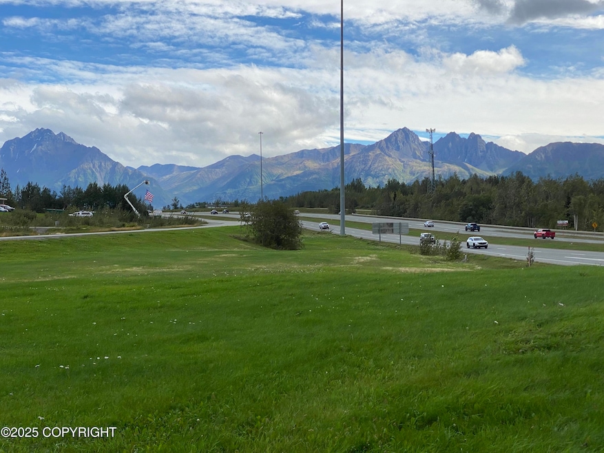 5740 E Blue Lupine Dr, Wasilla, AK 99654 - photo 1