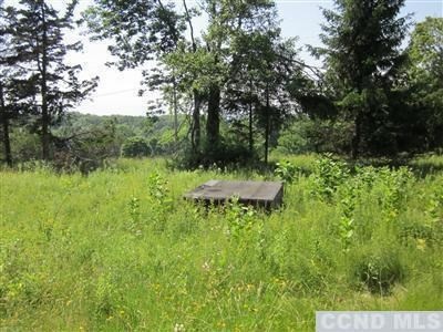 0 Post Hill Rd unit 97496, Taghkanic, NY 12502 - photo 1