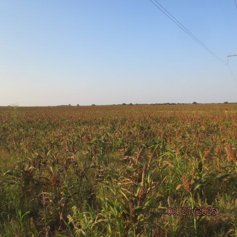 N2600, Geronimo, OK 73543 - photo 1