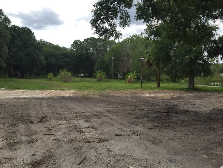 6216 N Falkenburg Rd, Tampa, FL 33610 - photo 1