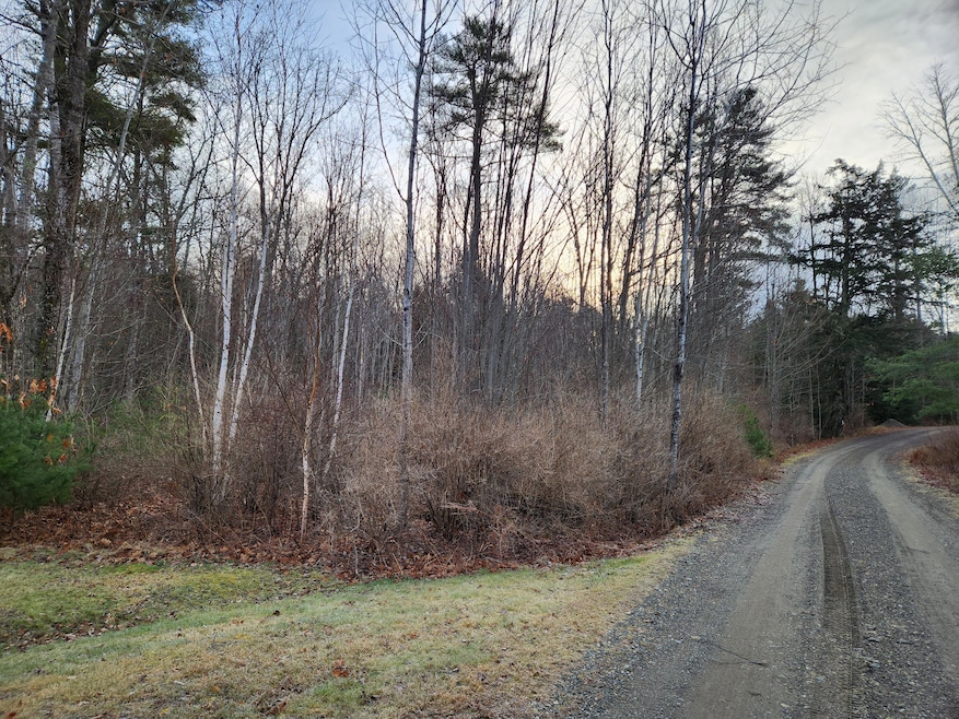 0 Wallis Ln, Jefferson, ME 04348 - photo 1