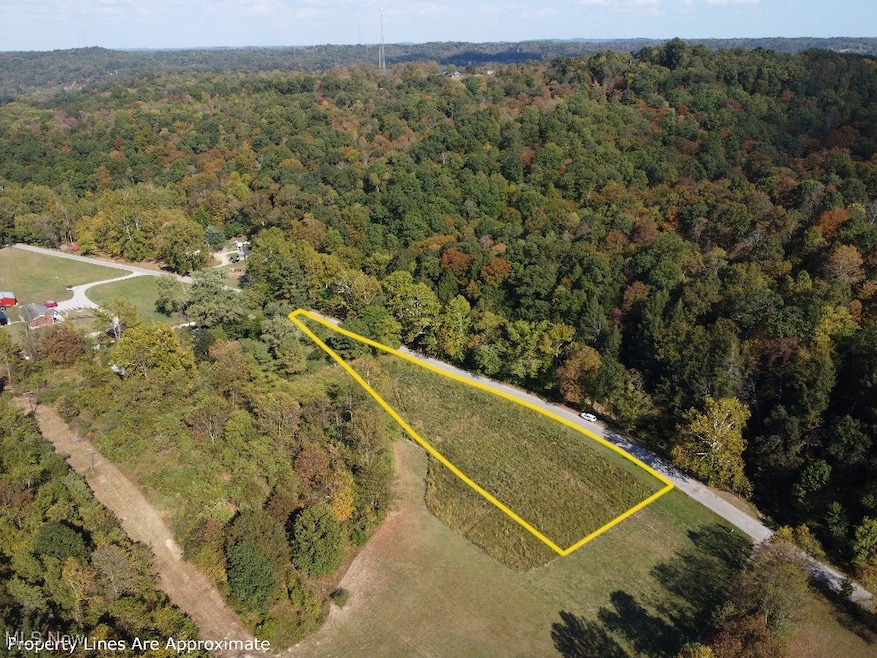 Aerial view of property and surrounding area with property boundaries highlighted and a forest